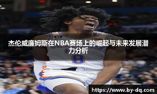 球速体育平台登录入口